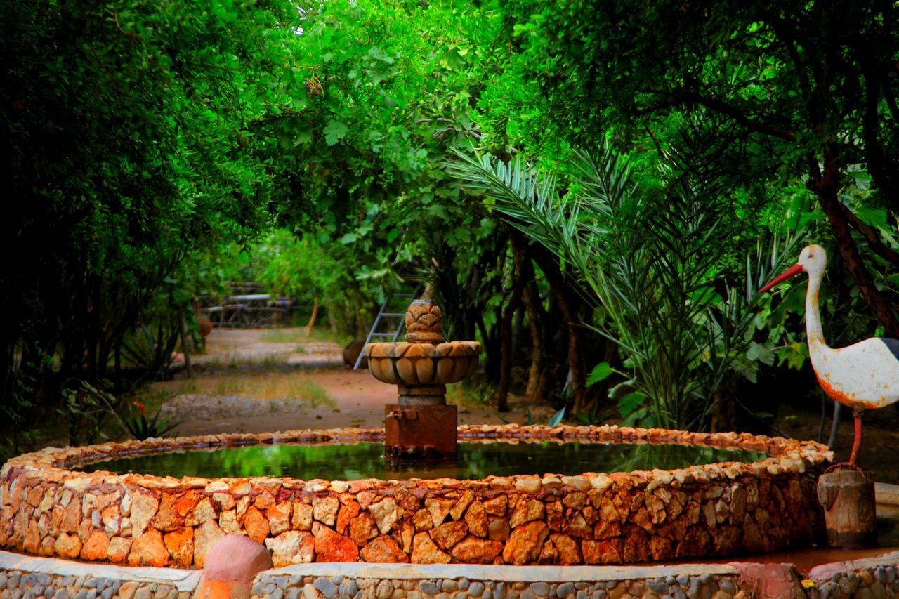 Auberge Kasbah Tiriguioute Skoura Exterior foto